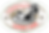 LOGO PRINCIPAL.png