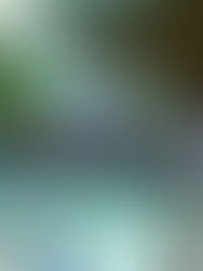 ジャズスト盛況