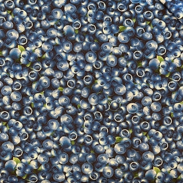 TT Fruit - Blue