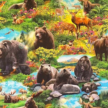 OA Wilderness Animal Scenic