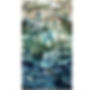 Landscape/Skyscapes