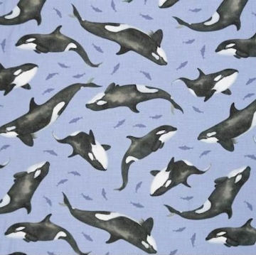 SE Polar Plungers - Orcas