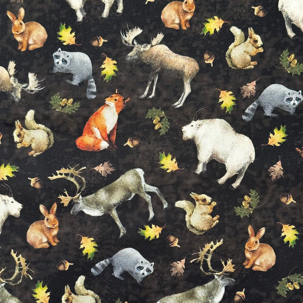 MM Woodland Creatures