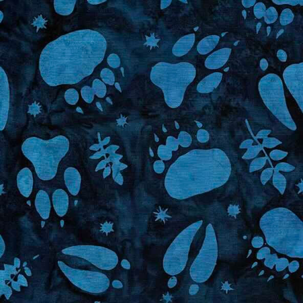 IB Back Country Footprints