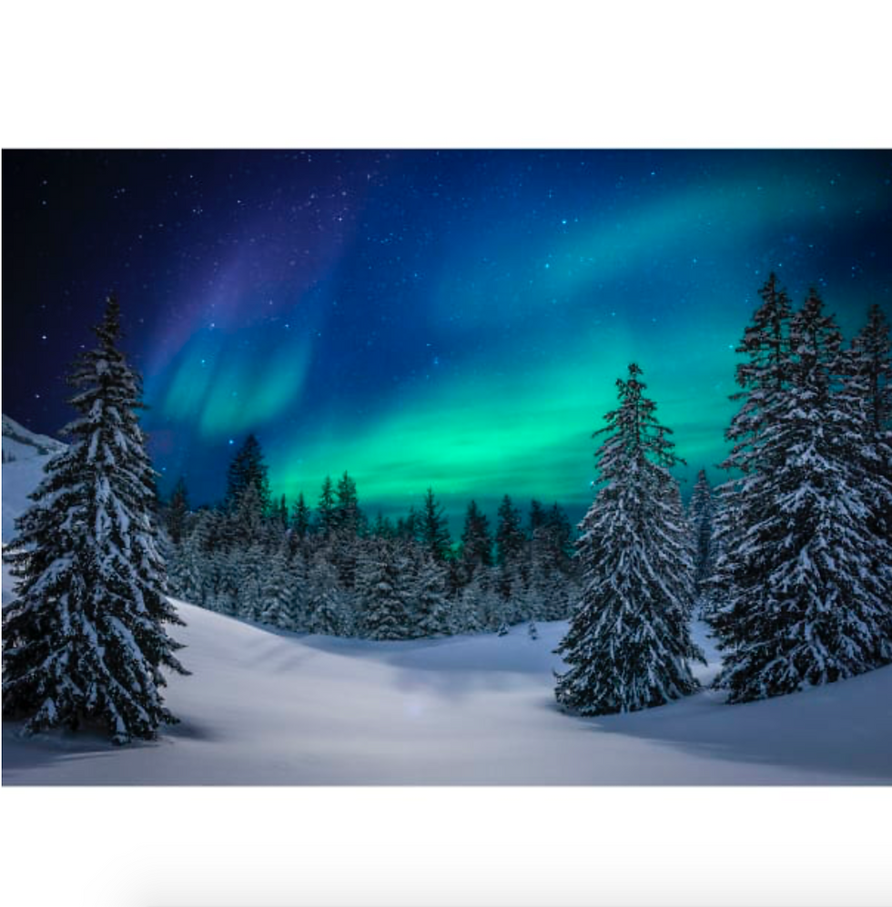 HF Aurora Borealis Forest Panel