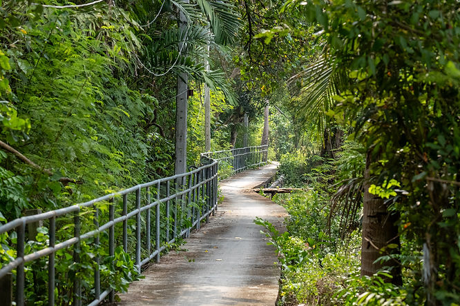 Bang Kachao 26.3.24 web-12.jpg