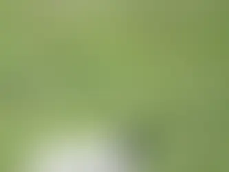 Teesdale on 24 June 2023