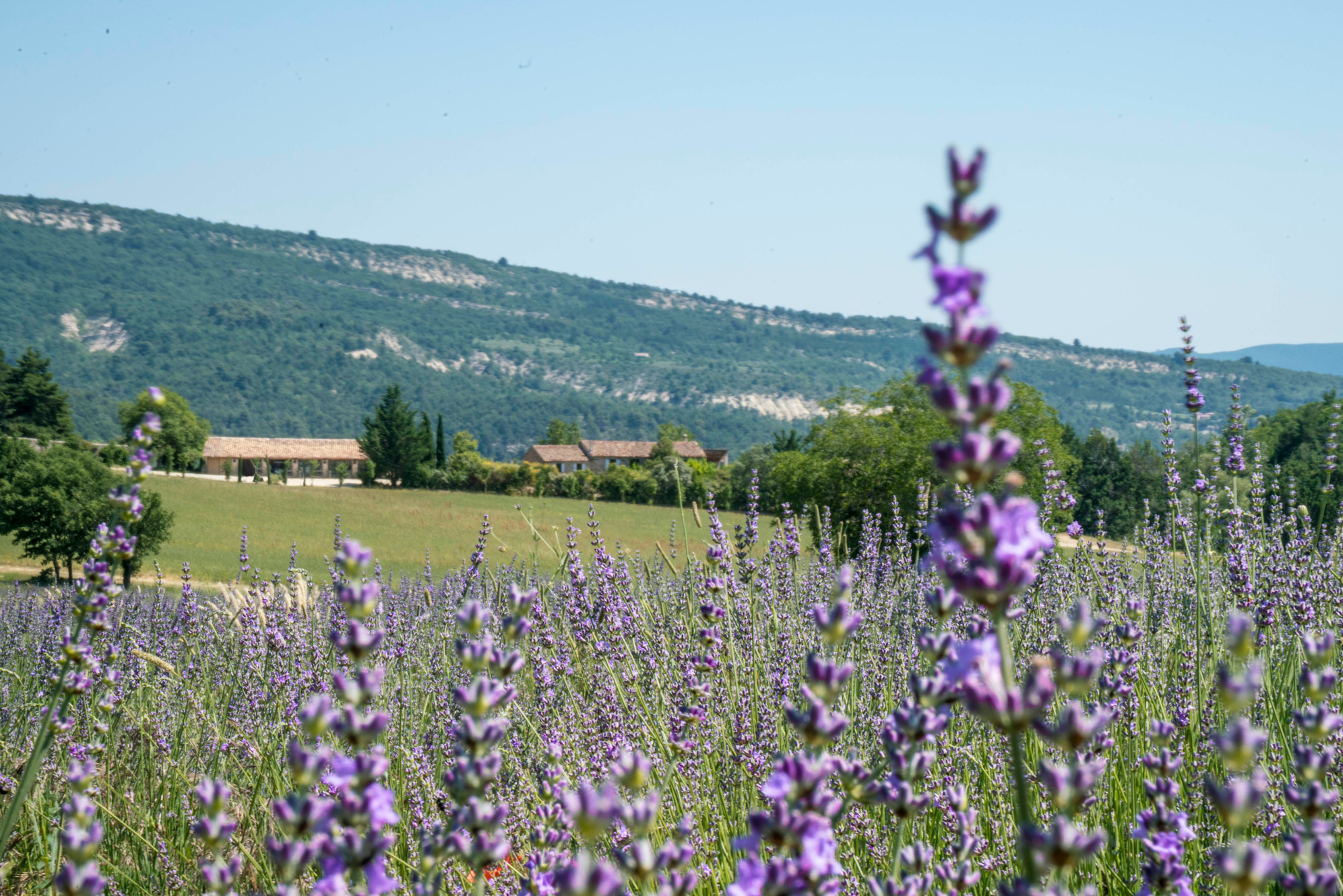 Domaine de Saint Quentin | Bien-être | Luberon en Provence