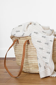 Chemo Bag