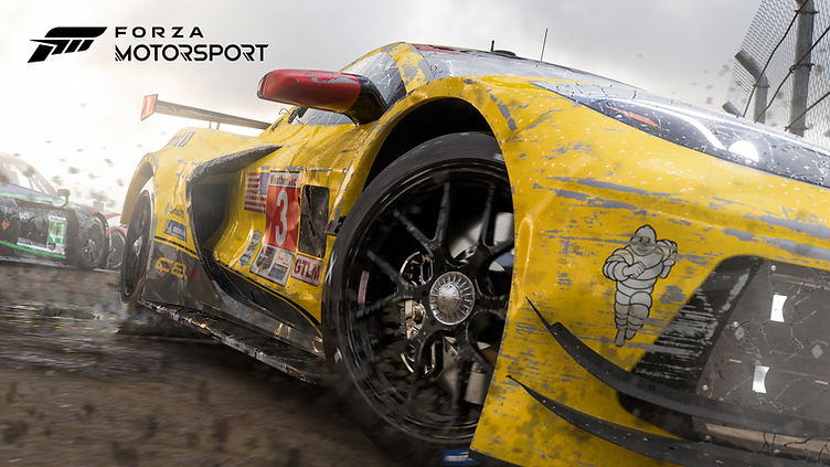 ForzaMotorsportPortfolioPageImage.jpg