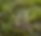 47n6ic47n6ic47n6.png