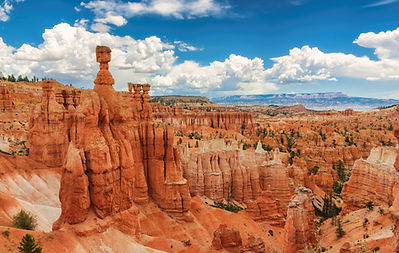 shutterstock_490558444.jpg
