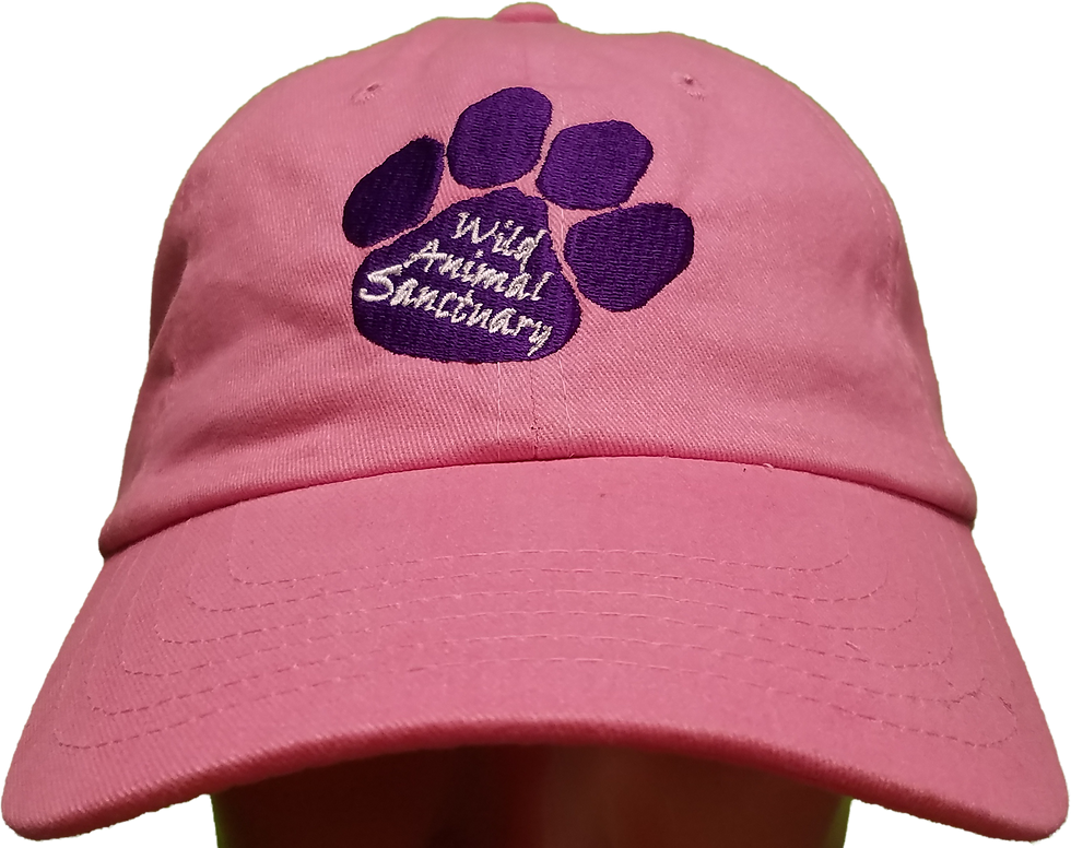 Miniatura: Gorra de béisbol TWAS Paw