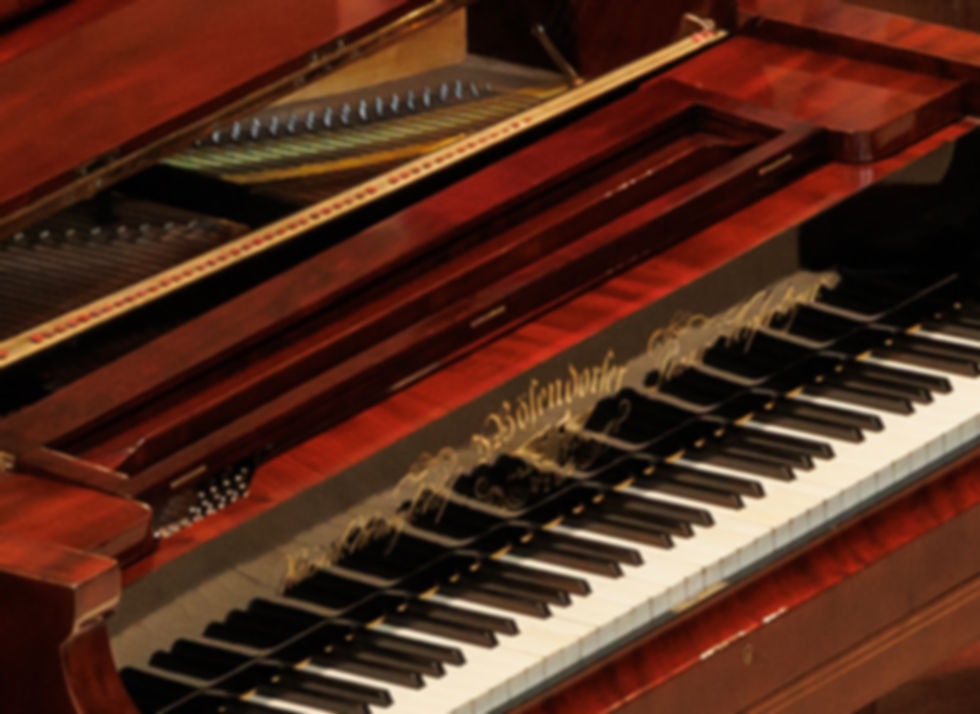 20230828_Els_Piano_694_H.jpg