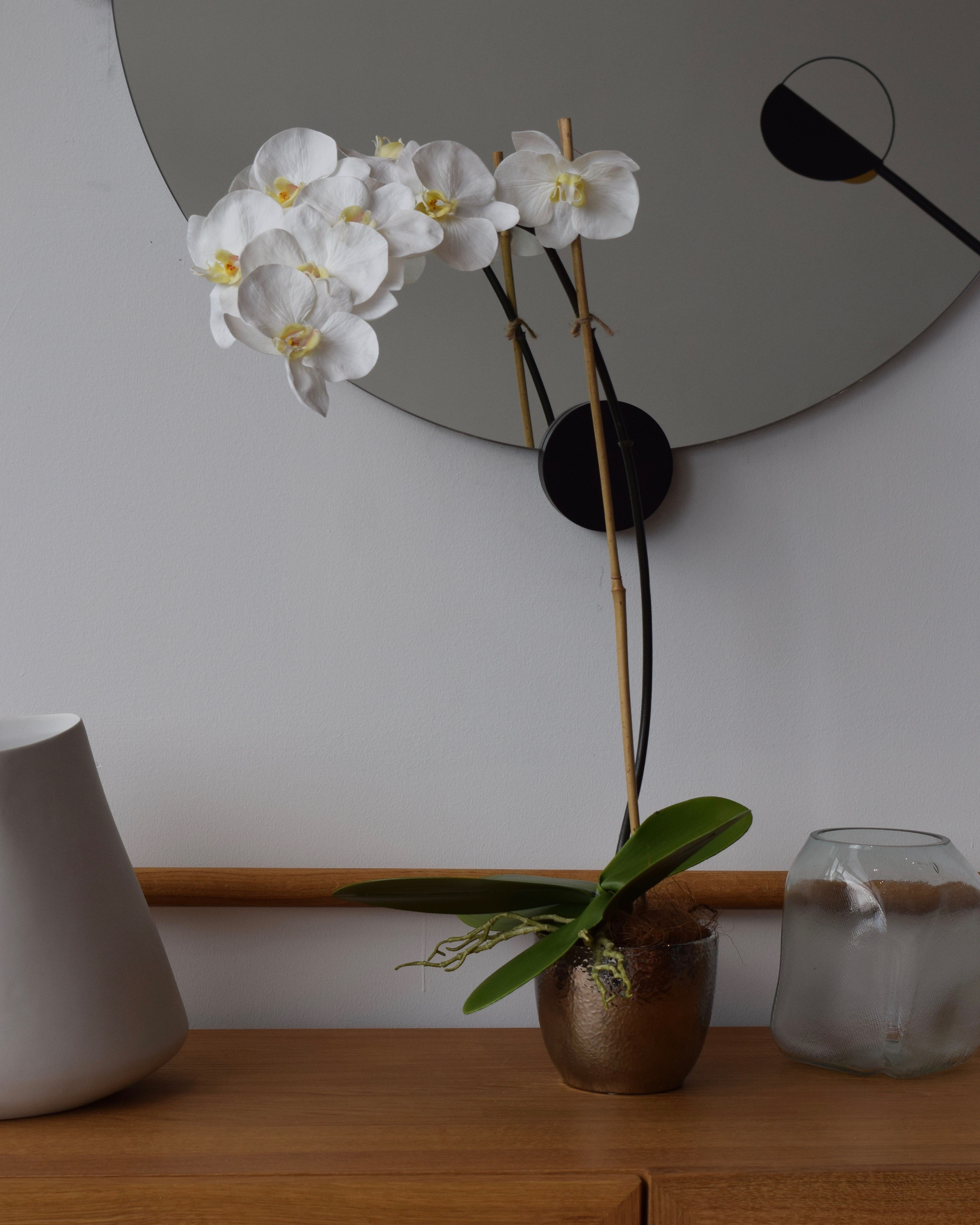 SF2720 Arreglo de 1 Orquídea en base redonda | 65 cm