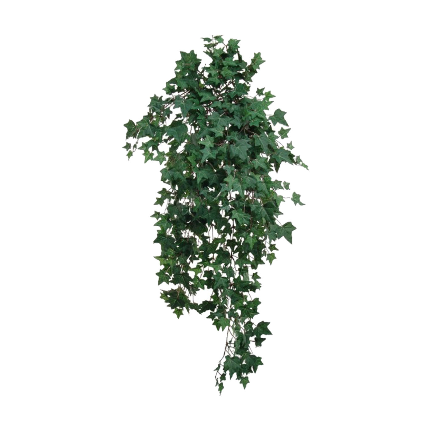 LS 339 Arbusto Ivy con 701 hojas | 97 cm