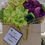 Thumbnail: WW414P Bouquet de Dalias y Ranunculus | 28 cm