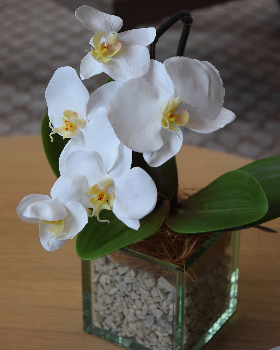 Miniatura: SF2700 Arreglo de 1 Orquídea en cubo de vidrio | 35 cm