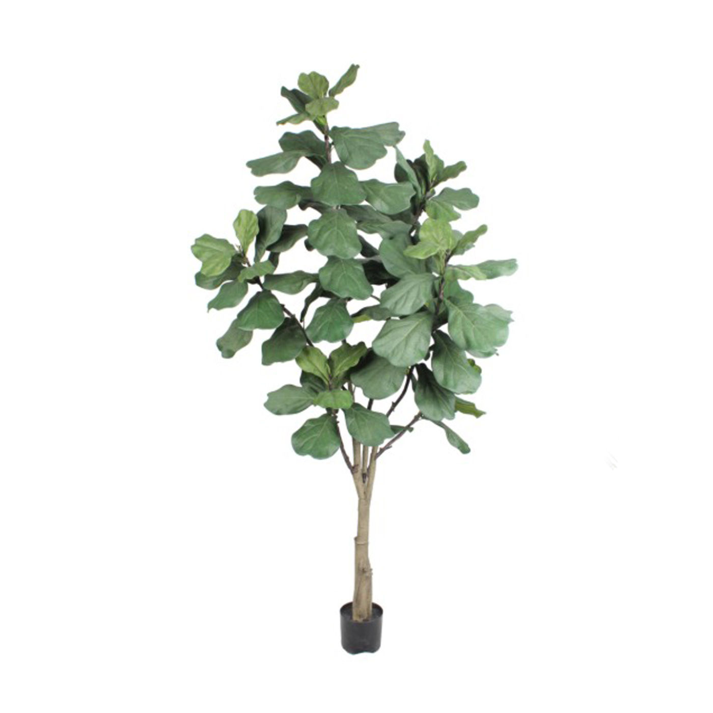 LS315 Árbol de Almendro | 210 cm