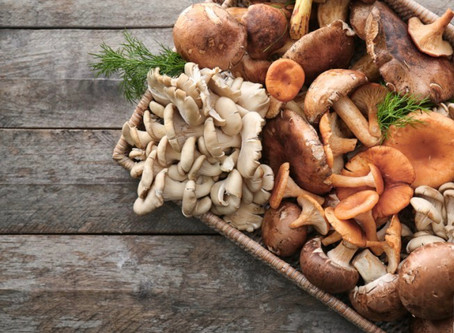 Settembre: i funghi
