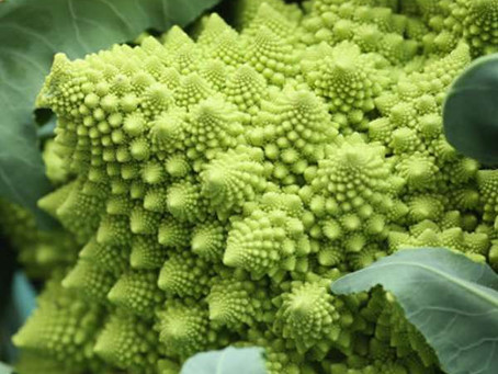 Novembre: il broccolo romanesco