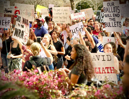 Raileigh Duschen Easterling, FSU student at the Tallahassee state capitol rallying against gun violence after the Parkland High School mass shooting in 2018