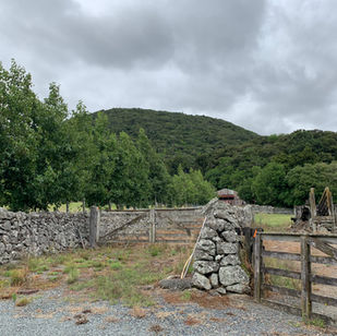 Stonewall-stables.JPG