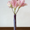 Thumbnail: Papura Vase -  X Small