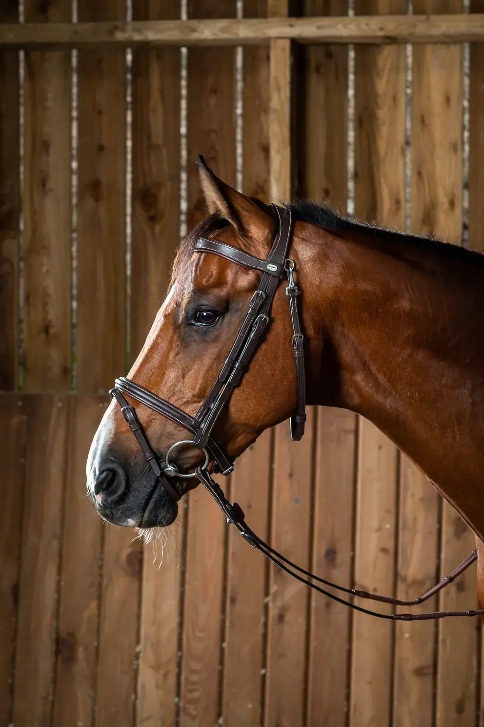 DY'ON Flash Noseband Bridle With Snap Hook