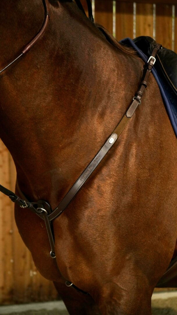 DY'ON Working Breastplate