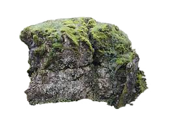 rock_edited.png
