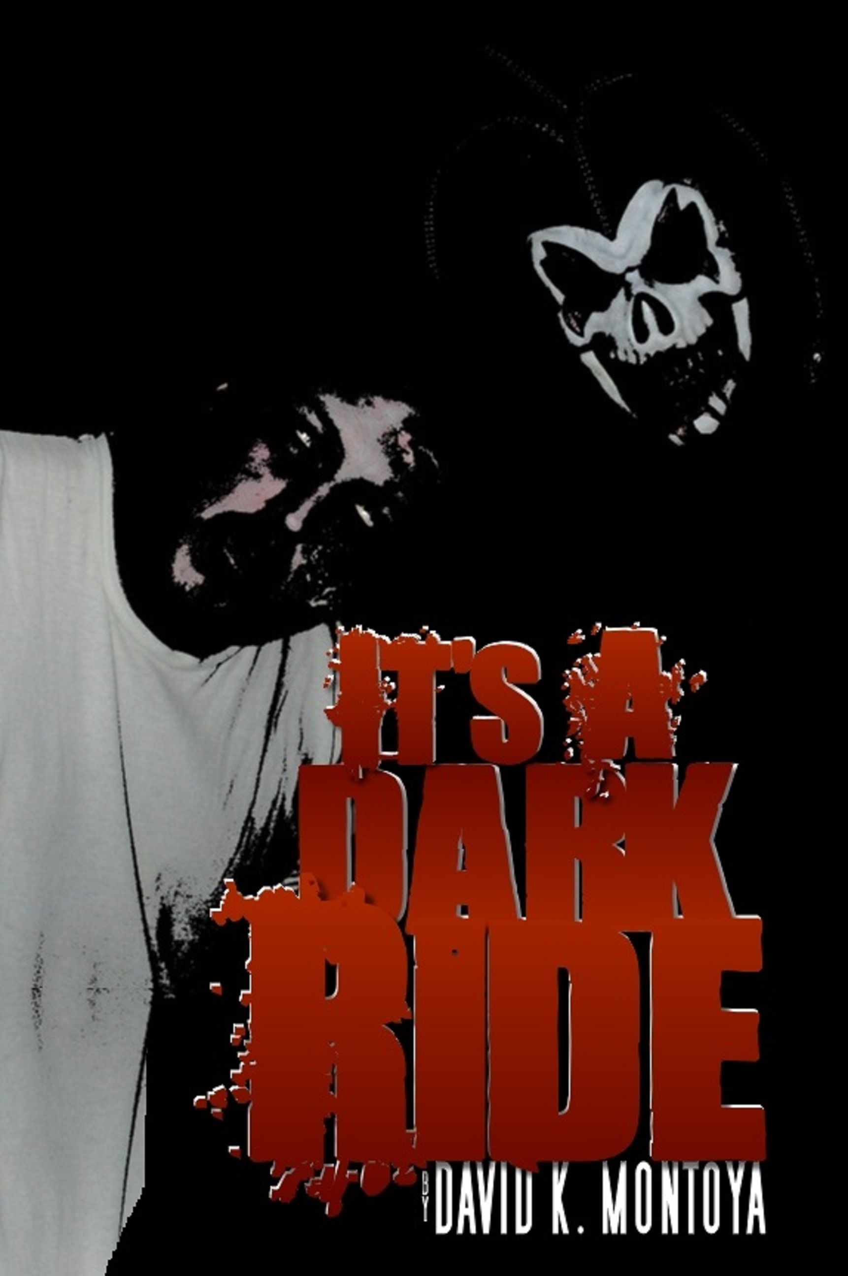 It's A Dark Ride cover