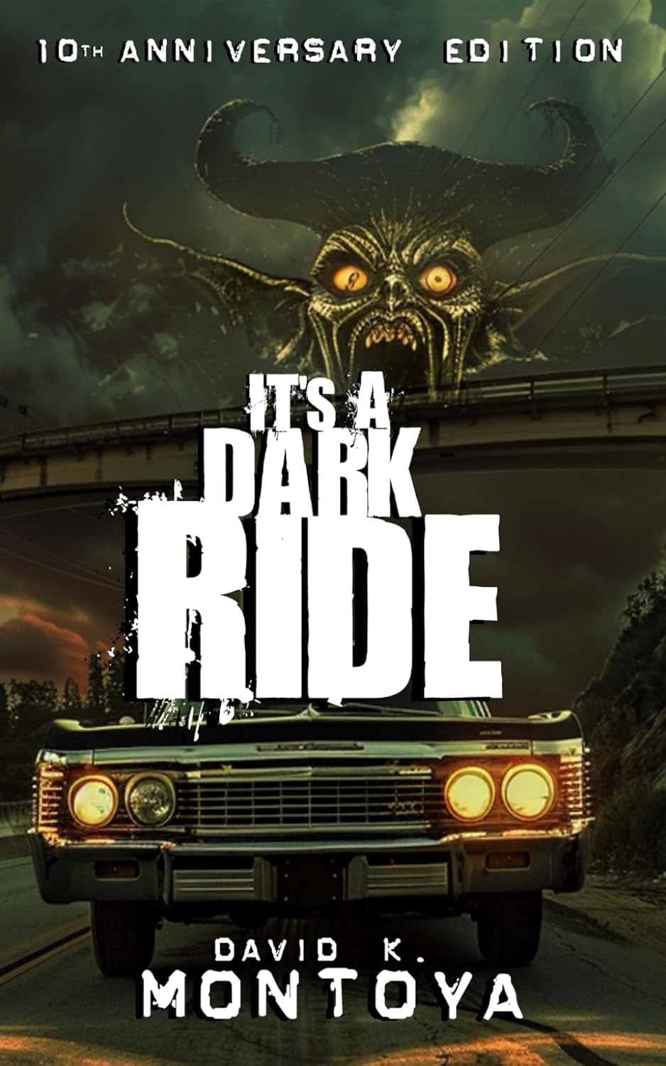 It's A Dark Ride: Anniversary Edition cover
