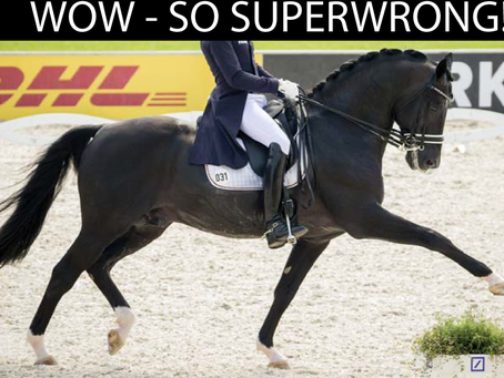 In a world of “extension fakes”, FEI/USEF Dressage Judge Anne Gribbons tells us what a “10” really looks like