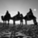 C-GEN back to back test rig