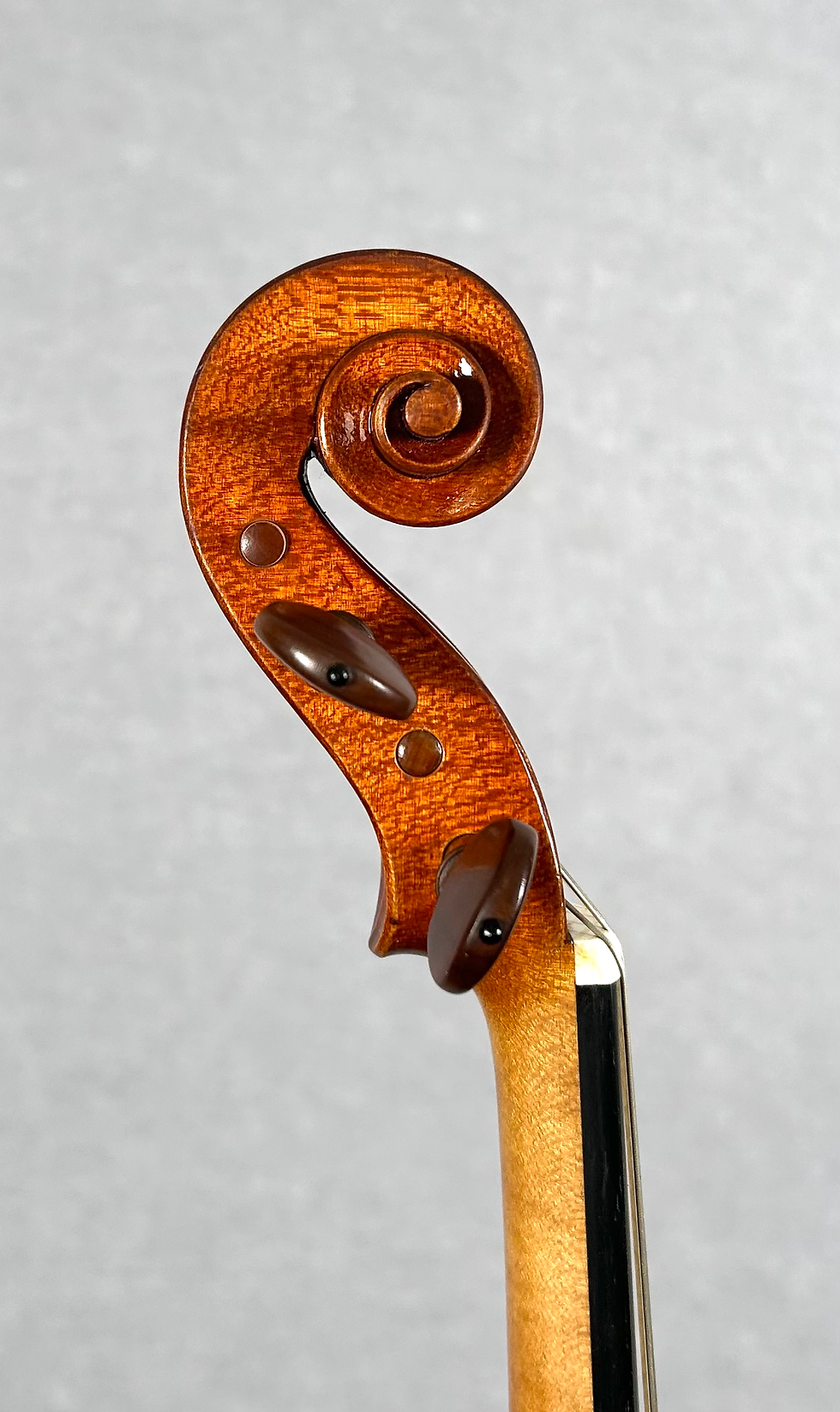 Thumbnail: BAROQUE VIOLIN | Michael Stürzenhofecker 