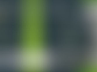 Curso: Formação em Psicanálise