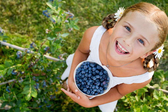 Girl holding fresh blueberries for local pickup