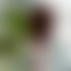 April Updates