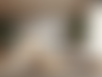 Living Room using sustainable materials