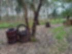 Imagem WhatsApp 2024-03-31 às 22.16.22_4f9707cc.jpg