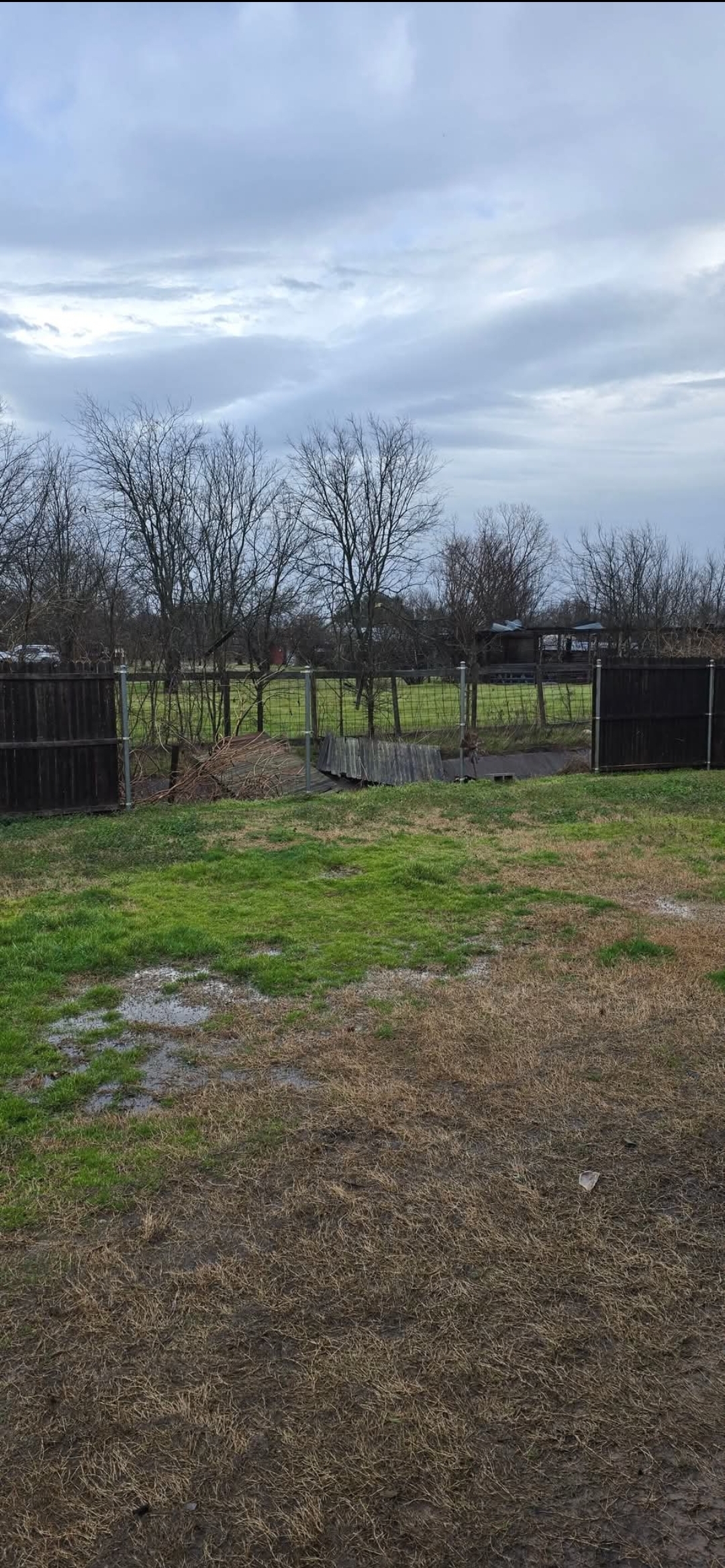 Fix fence in Royse City