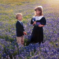 Texas Bluebonnets (late 1980's)