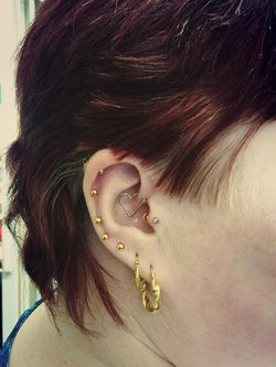 11041720_424679461033981_7884806241118211388_n