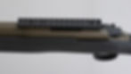 Thumbnail: Bushmaster/Remington Chandler .308 Win.