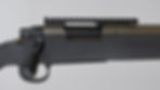 Thumbnail: Bushmaster/Remington Chandler .308 Win.