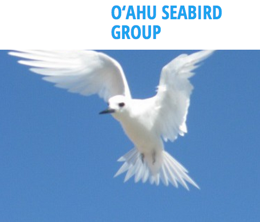 O'ahu Seabird Group