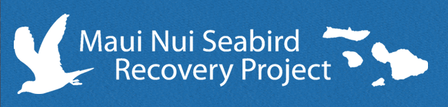 Maui Nui Seabird Recovery Project