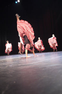 gala danse 2011 (309).JPG