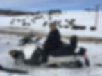 Bison Adventure